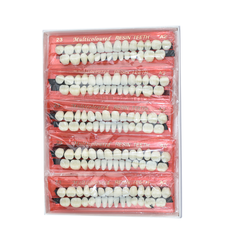 28 Teeth Dental Resin Denture  - Teeth Whitening Shade Guide recension och pris