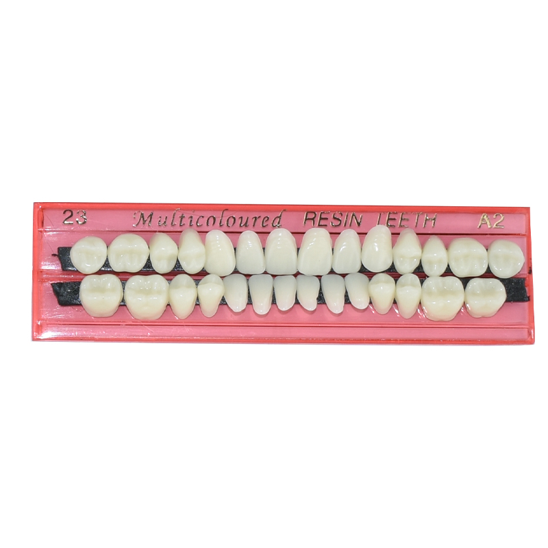 28 Teeth Dental Resin Denture  - Teeth Whitening Shade Guide recension och pris