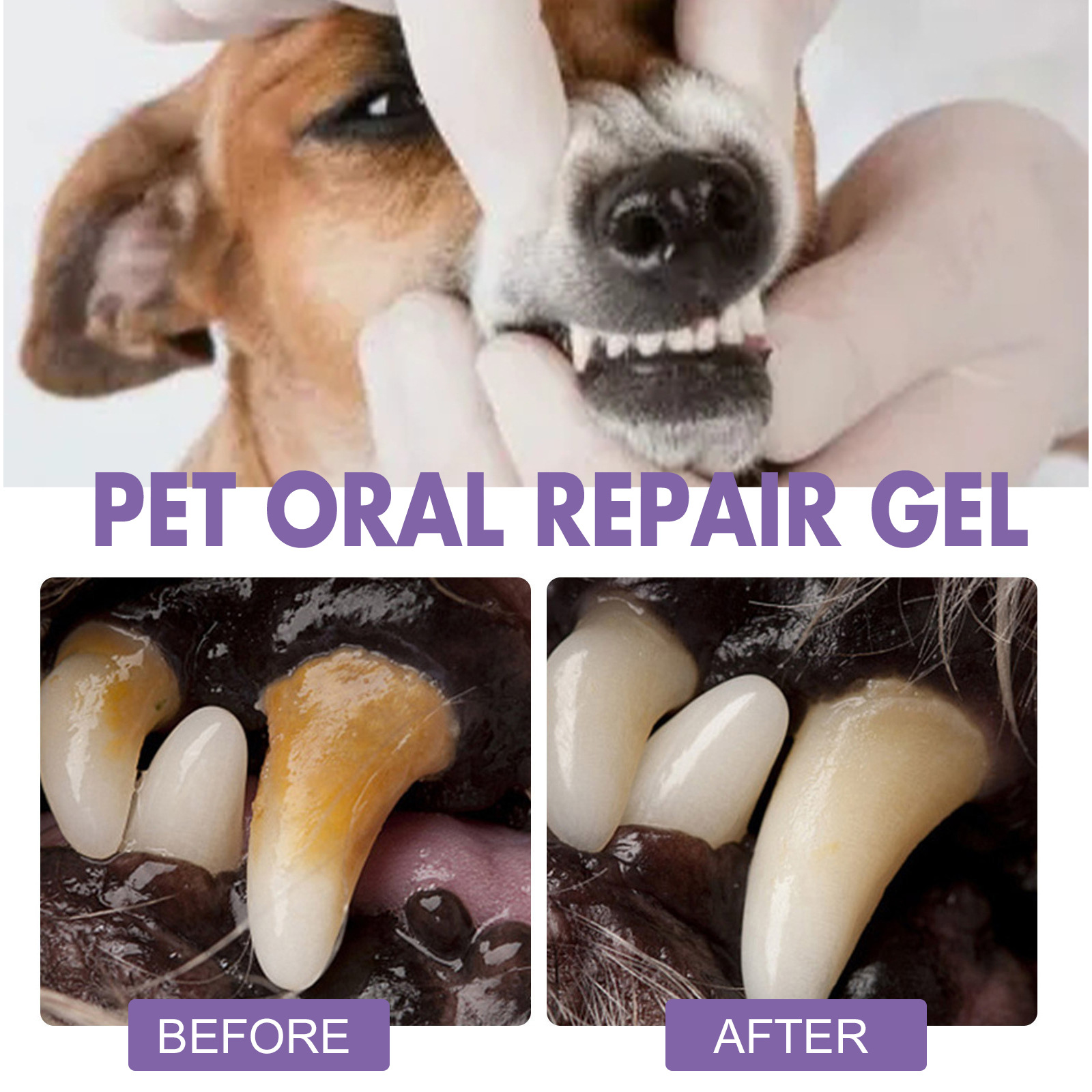 Pet Oral Repair Gel Puppy Tart - Teeth Whitening Session recension och pris